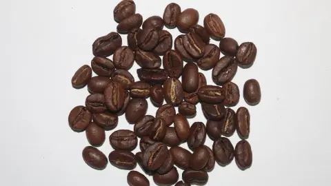 Balaji Coffee Trading Company — Coffee shop on SP Road, Bangalore