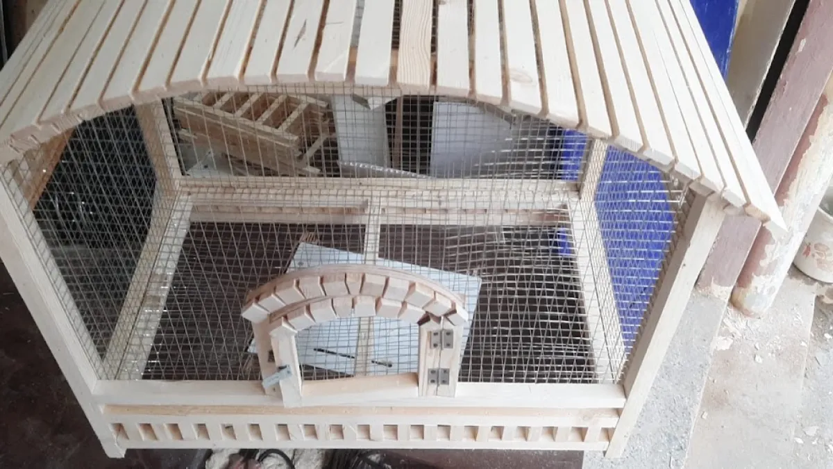 Bangalore Pet Mart Dingo Plus Pet Products — Pet Store on SP Road, Bangalore