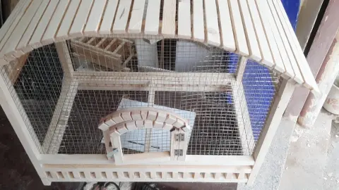 Bangalore Pet Mart Dingo Plus Pet Products — Pet Store on SP Road, Bangalore