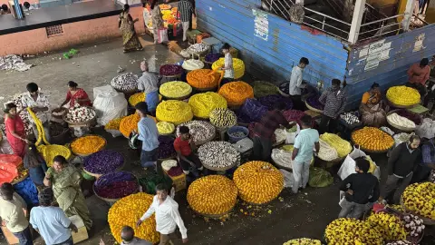 Delhi Sweets — Sweet shop on SP Road, Bangalore