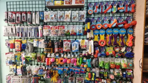 Disney Pet Products — Pet Store on SP Road, Bangalore