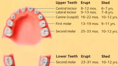 Happe Dental Clinic provide a quality dental treatment and services at best affordable prize with Care — Dental clinic on SP Road, Bangalore