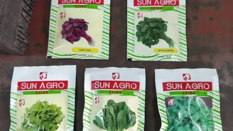 Sun Agro Seeds — General store on SP Road, Bangalore