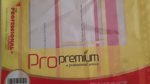 The Professional Couriers - SPD — Courier service on SP Road, Bangalore